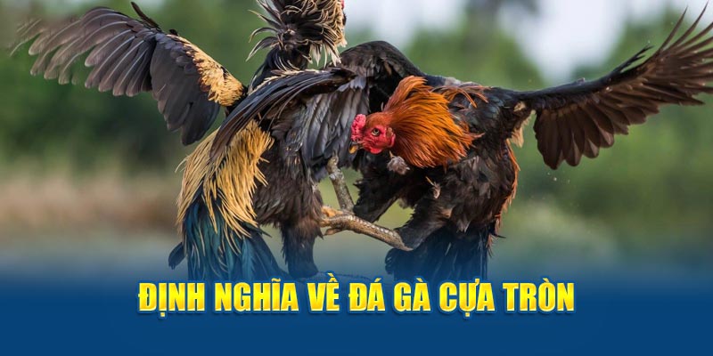 Đá gà cựa tròn - định nghĩa